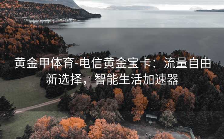 黄金甲体育-电信黄金宝卡：流量自由新选择，智能生活加速器