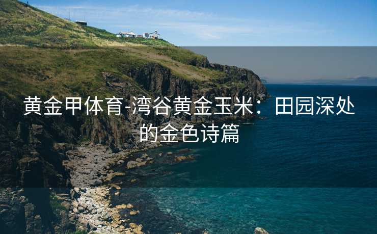 黄金甲体育-湾谷黄金玉米：田园深处的金色诗篇