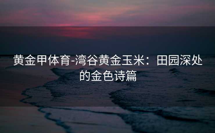 黄金甲体育-湾谷黄金玉米：田园深处的金色诗篇