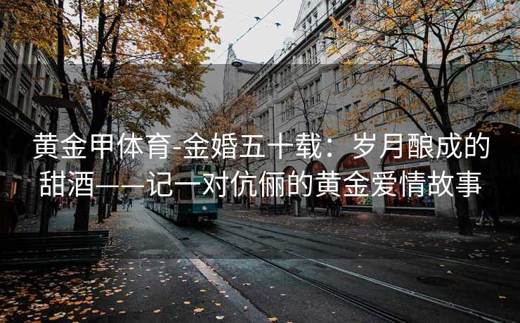 黄金甲体育-金婚五十载：岁月酿成的甜酒——记一对伉俪的黄金爱情故事