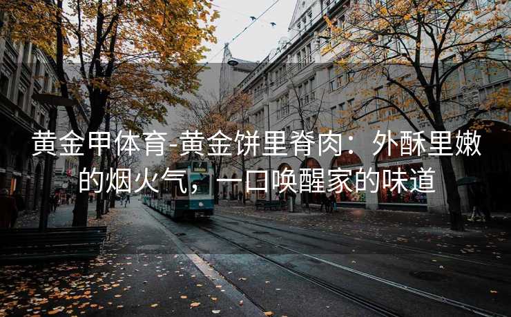 黄金甲体育-黄金饼里脊肉：外酥里嫩的烟火气，一口唤醒家的味道