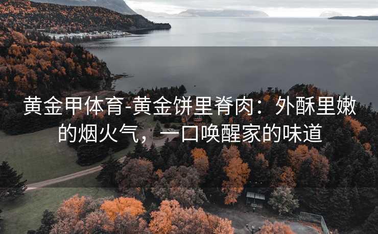黄金甲体育-黄金饼里脊肉：外酥里嫩的烟火气，一口唤醒家的味道