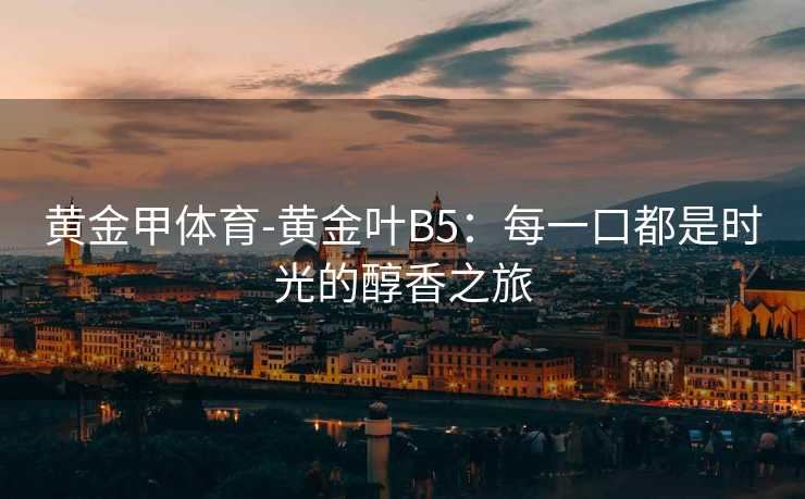 黄金甲体育-黄金叶B5：每一口都是时光的醇香之旅