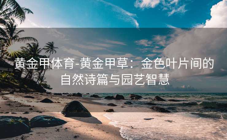 黄金甲体育-黄金甲草：金色叶片间的自然诗篇与园艺智慧