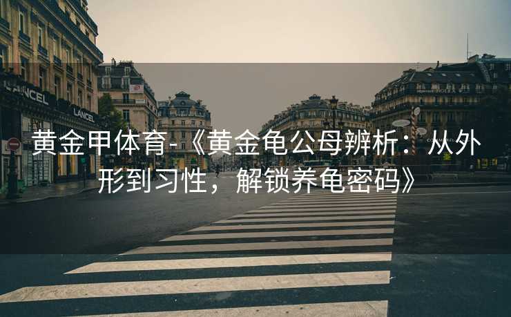 黄金甲体育-《黄金龟公母辨析：从外形到习性，解锁养龟密码》