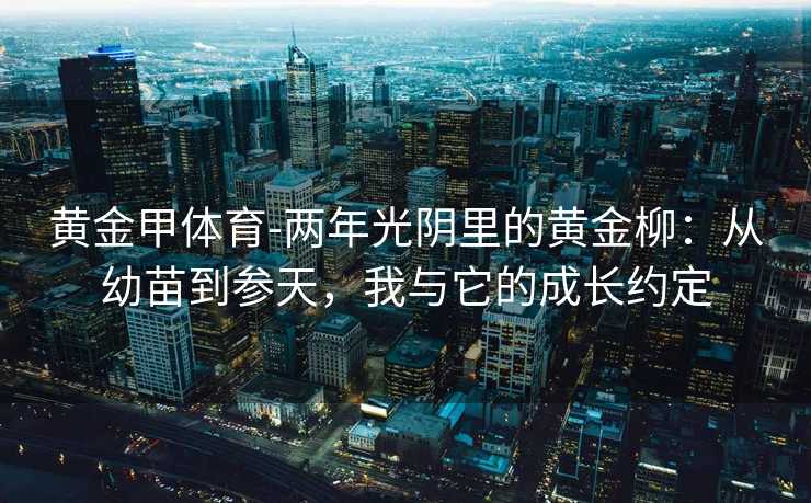 黄金甲体育-两年光阴里的黄金柳：从幼苗到参天，我与它的成长约定