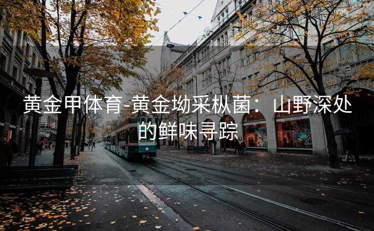 黄金甲体育-黄金坳采枞菌：山野深处的鲜味寻踪