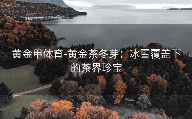 黄金甲体育-黄金茶冬芽：冰雪覆盖下的茶界珍宝